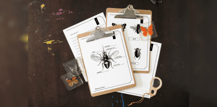 Free Printable Insects Workbook Cover Image Two clipboards sit on top of a pair of pages from the free Insect workbook printable. Each clipboard also has a page attached. All four sheets have black and white illustrations of insects with areas to fill in with the names of body parts.